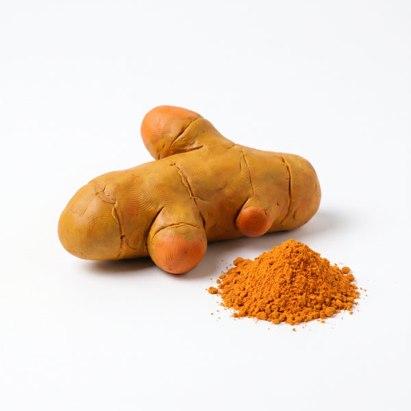 Curcuma