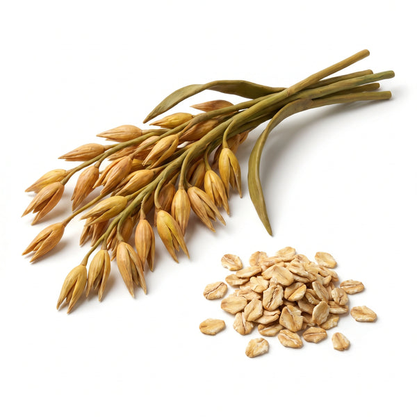 Estratto di avena